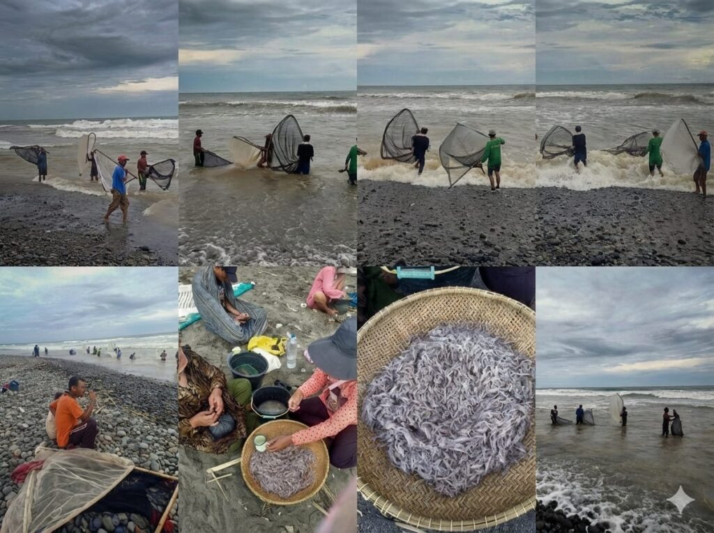 Kolase warga pesisir muara Cikandang Desa Jagabaya Kecamatan Mekarmukti, Kamis (15/01/2025) bersuka cita menangkap ikan Impun dengan mengganakan Waring. (Foto Dok: Ridwan)