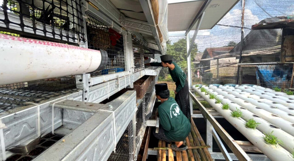Konsep "4 in 1" merupakan integrasi aktivitas pertanian hidroponik, peternakan ayam, perikanan dan pengolahan sampah organik dalam satu sistem berbasis ekonomi sirkular yang berkelanjutan. (Foto: Dok RUZKA INDONESIA)