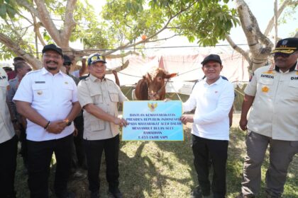 Ketua Satuan Tugas Percepatan Rehabilitasi dan Rekonstruksi (PRR) Pascabencana Sumatera, Muhammad Tito Karnavian, menyerahkan secara simbolis bantuan 1.455 ekor sapi dari Presiden RI Prabowo Subianto kepada masyarakat terdampak bencana di Aceh. Penyerahan dilakukan di Halaman Kantor Bupati Aceh Tamiang, berbarengan dengan agenda penyaluran bantuan perbaikan rumah rusak ringan dan sedang bagi warga setempat, Jumat (13/2/2026).