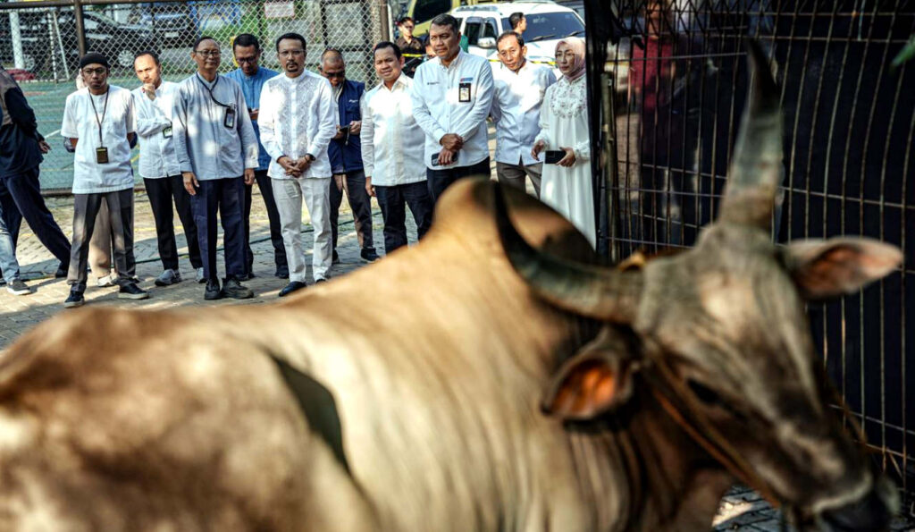 Pelaksanaan kegiatan kurban melibatkan Badan Dakwah Islam (BDI) Pertamina Patra Niaga dan dilaksanakan bersama masjid, yayasan, serta lembaga sosial di sekitar wilayah operasional perusahaan. (Foto: Dok RUZKA INDONESIA)