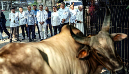 Pelaksanaan kegiatan kurban melibatkan Badan Dakwah Islam (BDI) Pertamina Patra Niaga dan dilaksanakan bersama masjid, yayasan, serta lembaga sosial di sekitar wilayah operasional perusahaan. (Foto: Dok RUZKA INDONESIA)